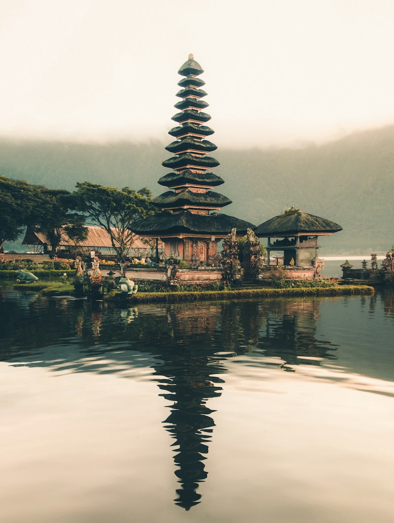 Pemandangan alam hijau dan jalan setapak sawah khas Ubud Bali